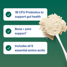 Plant Protein Powder - Vanilla